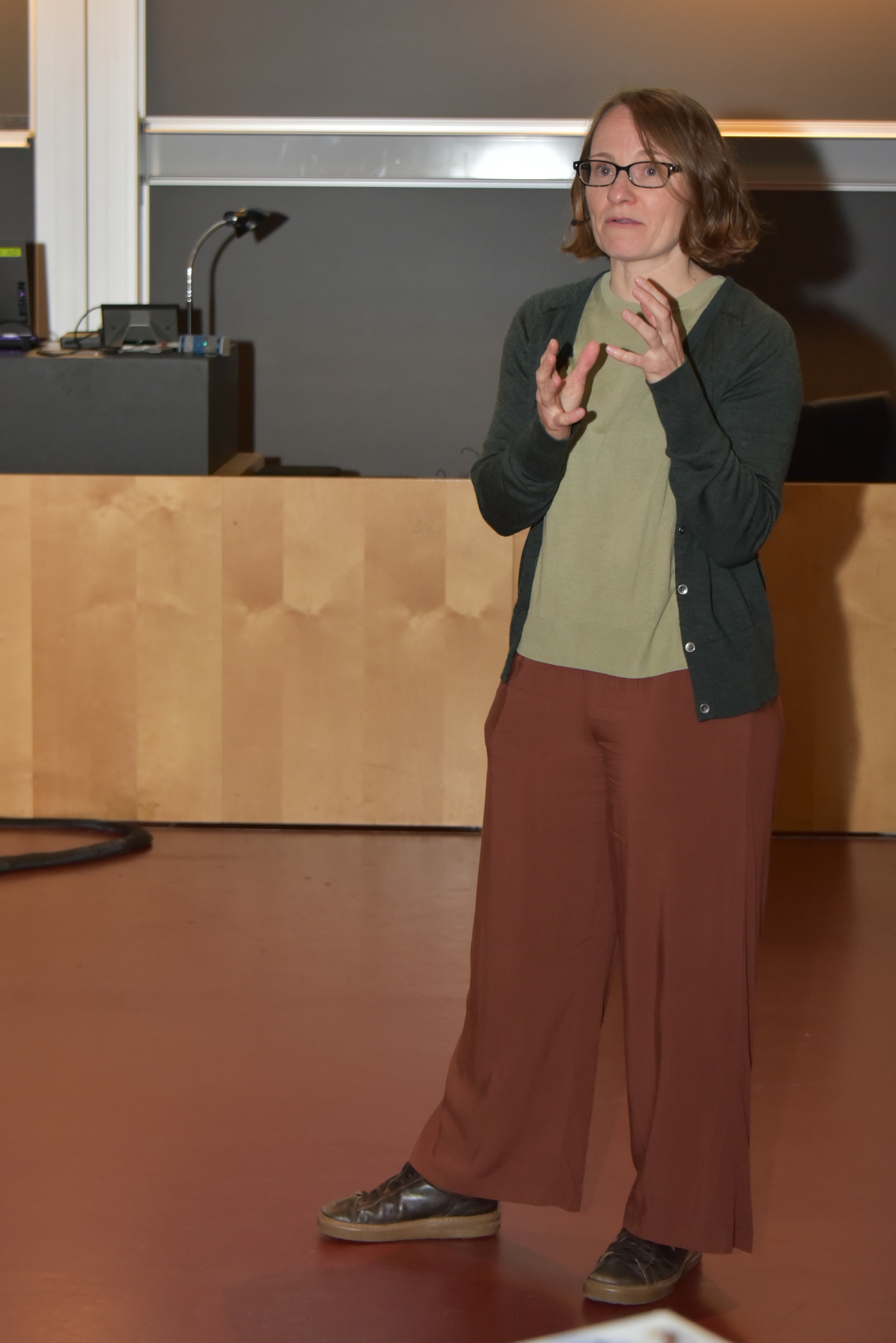 Presentation given by Laura Howe (Picture: Henrik Støvring)